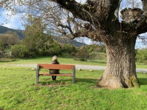 Belen Garcia Casado cursos de mindfulness online - Plena presencia momentos de plenitud