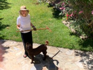 Belen Garcia Casado cursos de mindfulness online - Tu mente como bello y delicado huerto