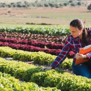 Belen Garcia Casado cursos de mindfulness online Mindfulness es la agricultura de la conciencia
